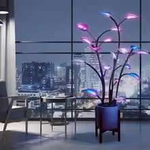 Magic Plant Light